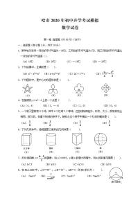 2020年黑龙江省哈尔滨市中考数学模拟考试二模试题及答案解析