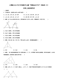 人教版2022年八年级数学上册“寒假自主学习”训练卷（5）：全等三角形的判定  word版，含答案