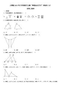 人教版2022年八年级数学上册“寒假自主学习”训练卷（4）：全等三角形  word版，含答案