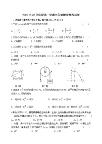 江苏省连云港市灌云县云湖初级中学2021-2022学年九年级上学期第三次质量检测数学试卷（Word版含答案）