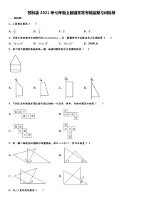 2021-2022学年度苏科版七年级数学上册期末常考题型复习训练卷（word版，无答案）