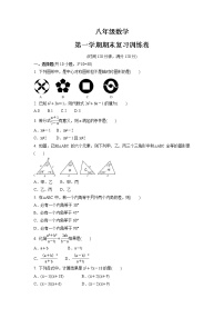 2021-2022学年 人教版八年级数学上册期末复习训练卷（word版 含答案）