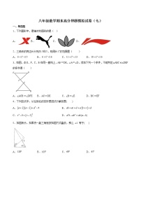 八年级数学期末高分押题模拟试卷（七）-2021-2022学年八年级数学上学期《考点•题型•难点》期末高效复习（人教版）