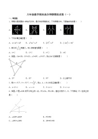 八年级数学期末高分押题模拟试卷（一）-2021-2022学年八年级数学上学期《考点•题型•难点》期末高效复习（人教版）