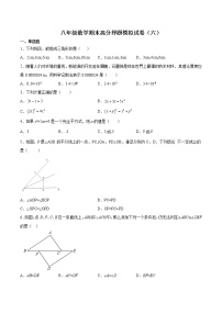 八年级数学期末高分押题模拟试卷（六）-2021-2022学年八年级数学上学期《考点•题型•难点》期末高效复习（人教版）