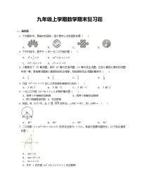 九年级上学期数学期末复习题