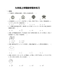 九年级上学期数学期末练习