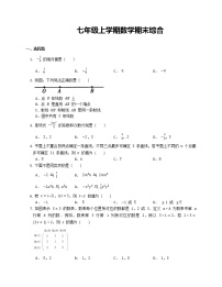 七年级上学期数学期末综合训练