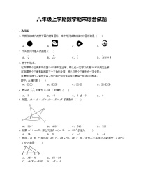 八年级上学期数学期末综合试题