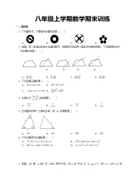 八年级上学期数学期末训练