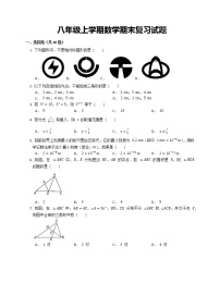 八年级上学期数学期末复习试题