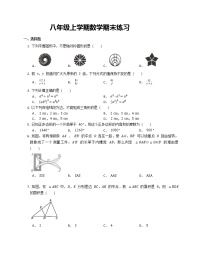 八年级上学期数学期末练习