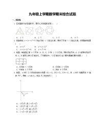 九年级上学期数学期末综合试题