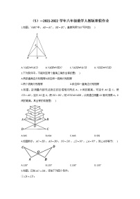 （5）—2021-2022学年八年级数学人教版寒假作业