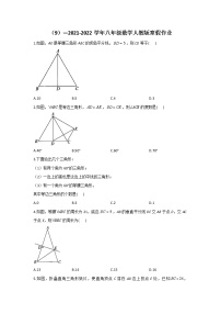 （9）—2021-2022学年八年级数学人教版寒假作业