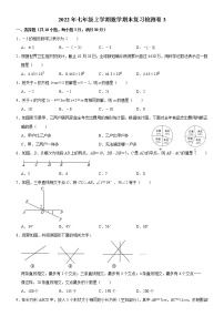 2021-2022学年人教版数学七年级上册期末复习检测卷3