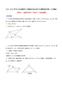 专题02 三角形全等中“手拉手”与垂直模型-2021-2022学年八年级数学上册期末综合复习专题提优训练（人教版）