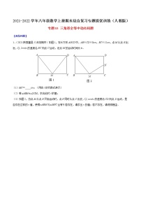 专题03 三角形全等中动点问题-2021-2022学年八年级数学上册期末综合复习专题提优训练（人教版）