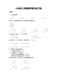 七年级上学期数学期末练习题