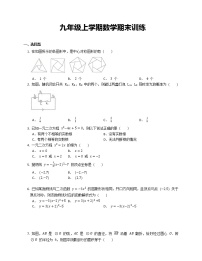 九年级上学期数学期末训练