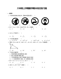 八年级上学期数学期末综合复习题