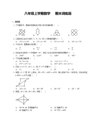 八年级上学期数学 期末训练题