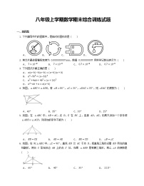 八年级上学期数学期末综合训练试题