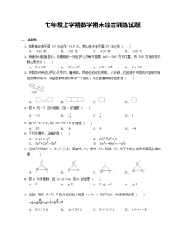 七年级上学期数学期末综合训练试题