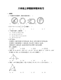 八年级上学期数学期末练习