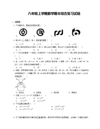 八年级上学期数学期末综合复习试题