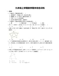 九年级上学期数学期末综合训练