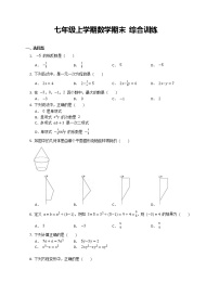 七年级上学期数学期末 综合训练