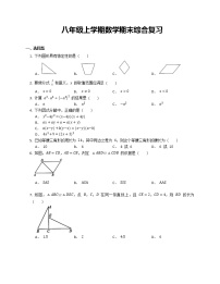 八年级上学期数学期末综合复习