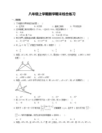 八年级上学期数学期末综合练习
