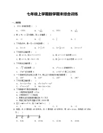 七年级上学期数学期末综合训练