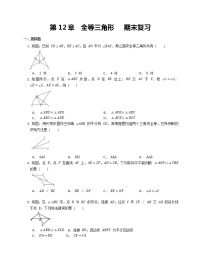 八年级上册 第12章  全等三角形   期末复习试卷