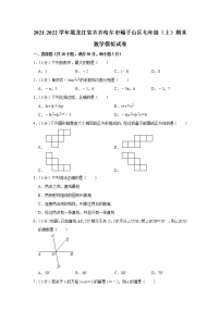 黑龙江省齐齐哈尔市碾子山区2021-2022学年七年级（上）期末数学模拟试卷（word版 含答案）