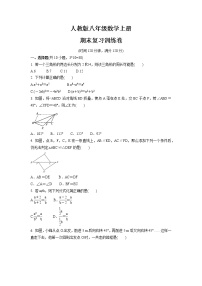 2021-2022学年人教版八年级数学上册   期末复习训练卷（word版 含答案）