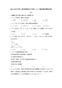 上海市普陀区2021-2022学年八年级上学期期末数学模拟试卷（1） （word版 含答案）