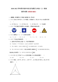 四川省泸州市龙马潭区2020-2021学年九年级上学期期末考试数学试题（word版 含答案）