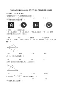 广西百色市田东县2020-2021学年八年级上学期期末考试数学试卷（word版 含答案）