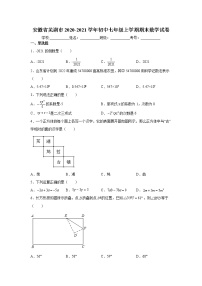 2020-2021学年安徽省芜湖市初中七年级上学期期末数学试卷（含答案与解析）