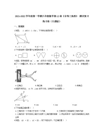 2021-2022学年度第一学期八年级数学第12章《全等三角形》 期末复习练习卷（人教版）