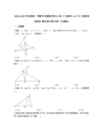 2021-2022学年度第一学期八年级数学第11章《三角形》11.2与三角形有关的角 期末复习练习卷（人教版）