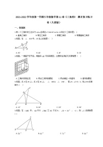 2021-2022学年度第一学期八年级数学第11章《三角形》 期末复习练习卷（人教版）