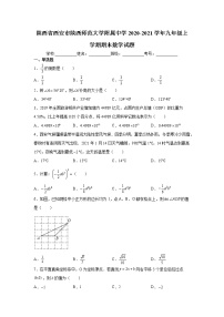 2020-2021学年西安市陕师大附中九年级上学期期末数学试题（含答案与解析）