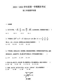 2021-2022深圳市福田区八年级上册数学期末真题