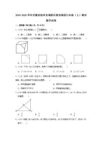 2019-2020学年安徽省宿州市埇桥区教育集团九年级（上）期末数学试卷