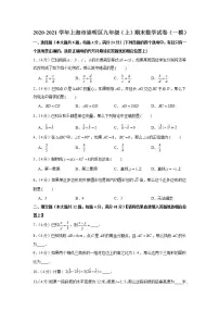2020-2021学年上海市崇明区九年级（上）期末数学试卷（一模）