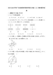 2019-2020学年广东省深圳外国语学校九年级（上）期末数学试卷